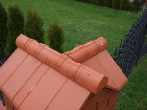 2010 04 07 084135 1