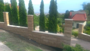 2014 07 29 14.55.01 2