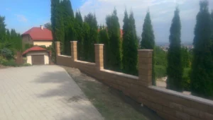 2014 07 29 14.55.04 2