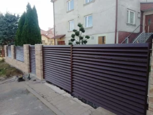 FB IMG 1636925687989 2