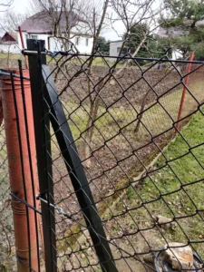 IMG 20210329 131529 1