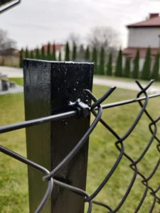 IMG 20210329 131551 1