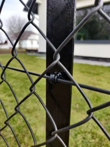 IMG 20210329 131559 1