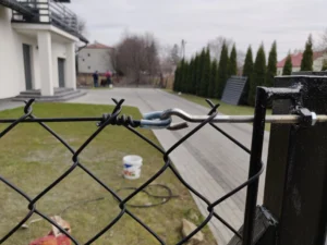 IMG 20210329 131614 1