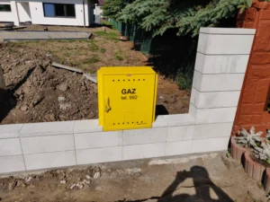 IMG 20210616 084604 1