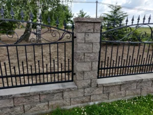 IMG 20210619 115434 1