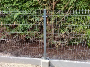 IMG 20210723 143846 1