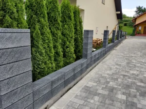 IMG 20210727 132646 1