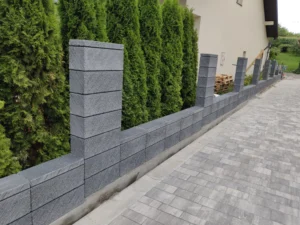 IMG 20210727 132649 1