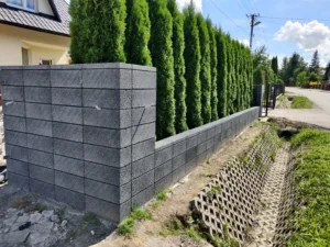 IMG 20210804 142304 1