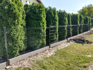 IMG 20210908 100230 1