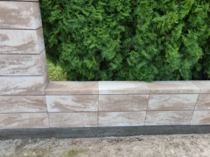 IMG 20210927 130757 1