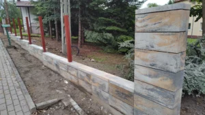 IMG 20230615 101511693 1