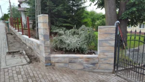 IMG 20230615 101525333 1