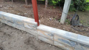 IMG 20230615 101535582 1