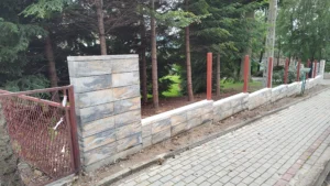 IMG 20230615 101604039 1