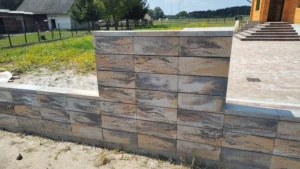 IMG 20230822 124639146 1