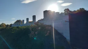 IMG 20231014 084412404 HDR 1