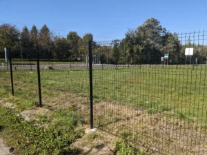 PXL 20211010 103256469 1