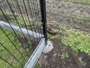 PXL 20240405 081607747