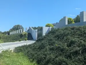 PXL 20240812 110111262