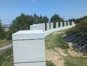 PXL 20240812 110429645