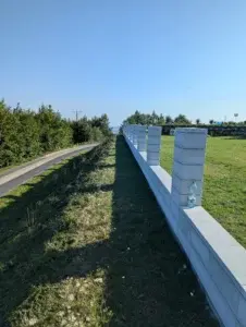 PXL 20240817 062649346