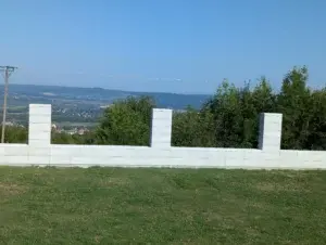 PXL 20240817 064633088