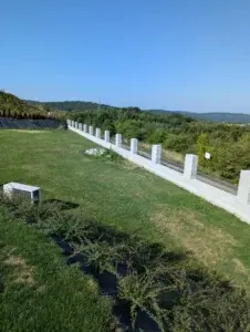 PXL 20240817 065012025